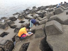 -泊石湾海滨浴场