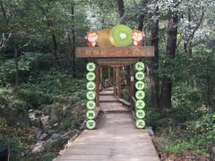 -大岭沟猕猴桃谷风景区