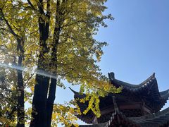 -宝通禅寺
