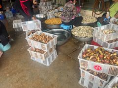 -双喜农庄·菌香园(安居家园店)