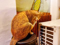 -Poke lemon海鲜波奇饭·柠檬茶(金碧开放小区店)