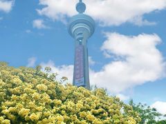 -南京古林公园