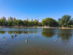 -太阳宫公园