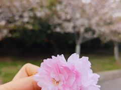 -南京城墙景区