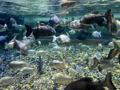 -成都浩海立方海洋公园