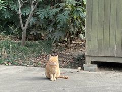 -长广溪湿地公园