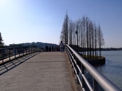 -上海月湖雕塑公园