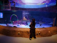 -沈阳海洋探索中心