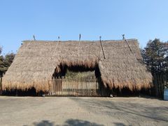 -河姆渡遗址博物馆