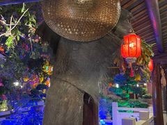 -顺德了能馆(虎门店)