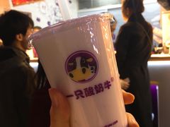 -一只酸奶牛(八一路店)