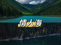 -亚拉雪山风景区