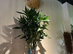 -八月美食小馆(银泰城总店)