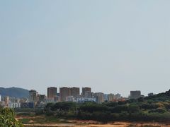 -立新湖公园