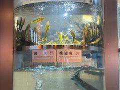 -老船舫·现做活鲜鱼馆(东郊记忆店)