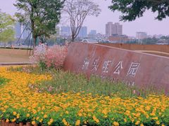 -洲头咀公园