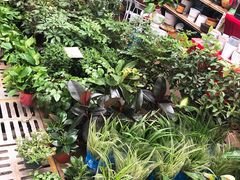 -秦美花卉(天朗·莱茵小城2期店)