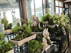 -川旺角川粤融合菜•海景餐厅(星海广场店)