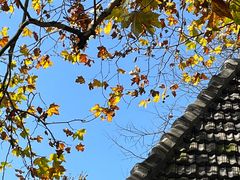 -莫干山风景区