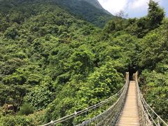 -天门沟九州驿站树上汤泉
