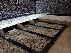 -汤里来温泉