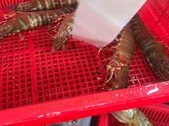 -拉威海鲜市场