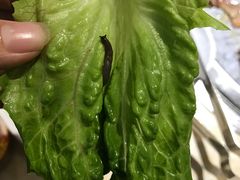 -牛太郎时尚自助烧烤