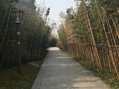 -南翔镇银翔湖公园