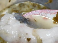 -严记小天府酸菜鱼(西四路店)