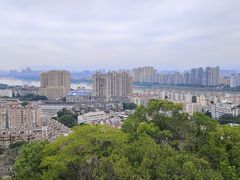 -福道