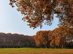 -河南省黄河迎宾馆