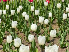 -长春公园(普阳街道)