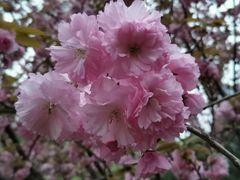 -苏州河梦清园环保主题公园