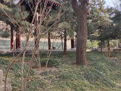 -元大都城垣遗址公园