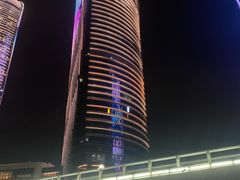 -演武大桥观景平台