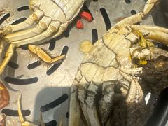 -半岛听涛蒸汽海鲜自助(K11店)