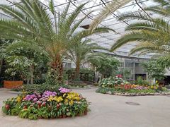 -北京植物园-展览温室