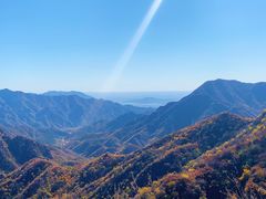 -大岭沟猕猴桃谷风景区