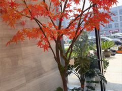 -唐宫足道·SPA·住宿24H会所(木渎店)