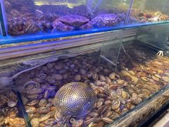 -四海蒸鲜蒸汽海鲜自助(北戴河店)