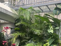 -漫笙舍Manse·咖啡·民宿