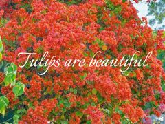 -天河客运站(地铁站)