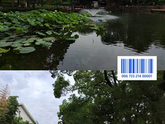 -苏州公园(双塔街道)
