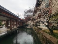 -浙江省博物馆(孤山馆区)
