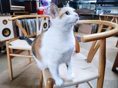 -黑胶星球(华发中城商都店)