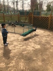 -萌宠亲子动物乐园(槐房万达店)