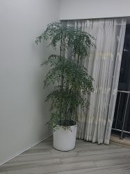 -HEYAN荷妍专业脱毛连锁机构