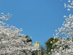 -苏州上方山国家森林公园