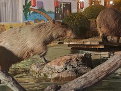 -郑州银基黄帝宫御温泉