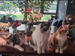 -咖法森林·咖啡  酒吧(天河店)